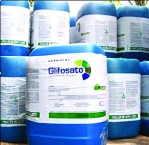 glifosato